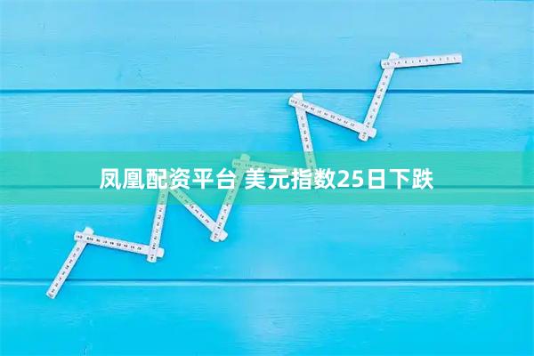 凤凰配资平台 美元指数25日下跌