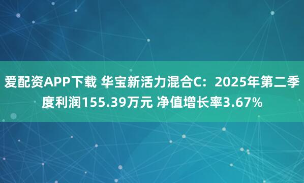 爱配资APP下载 华宝新活力混合C：2025年第二季度利润155.39万元 净值增长率3.67%