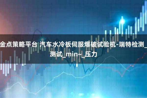 金点策略平台 汽车水冷板伺服爆破试验机-瑞特检测_测试_min~_压力